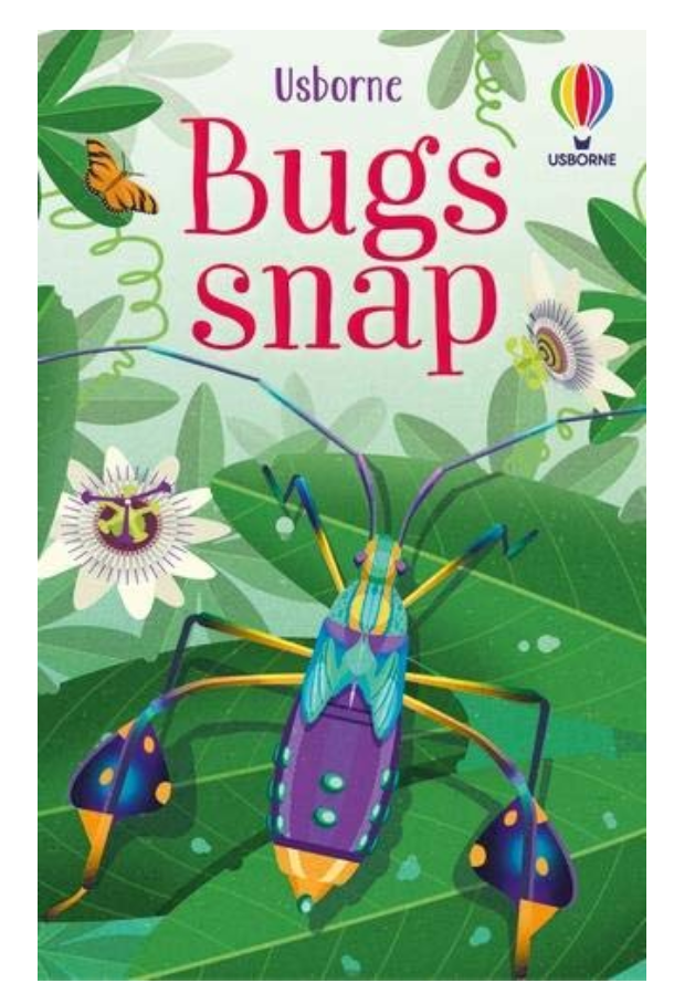Usborne Bug Snap