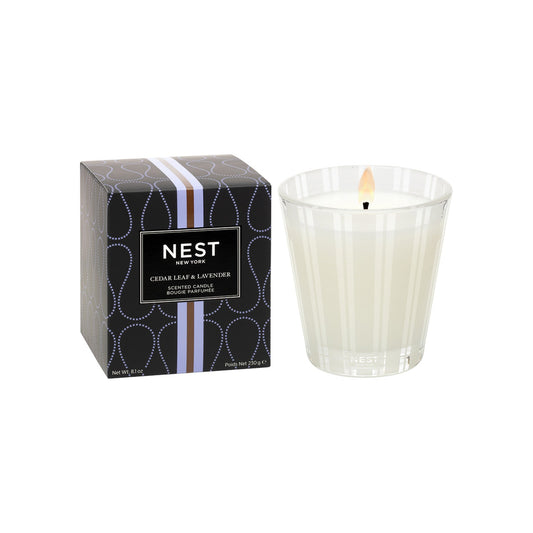 Nest Cedar Leaf and Lavender Candle Size variant: 8.1 oz main image.